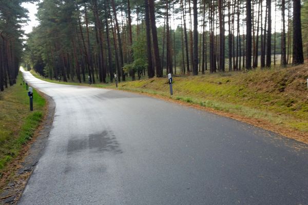 Ruhiges Waldgebiet entlang der ehemaligen innerdeutschen Grenze mit gut ausgebautem Rad- und Wanderweg.