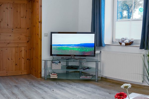 Fernseher auf Glasregal neben Fenster und Heizkörper in einem Wohnzimmer