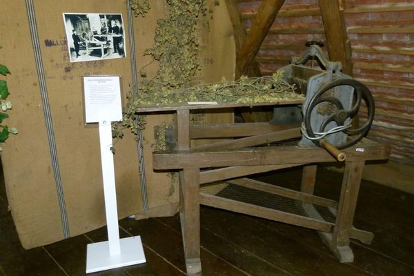 Hopfenmuseum