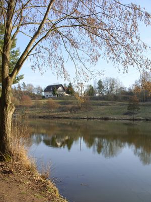 Im Vordergrund ist ein spätherbstlicher Teich zu sehen, der am kahlen, leicht abfallenden Uferrand liegt. Auf einer Anhöhe hinter dem Teich und vor dem Wald steht ein großer Gebäudekomplex. Linkss im Vordergrund ist der hohe Stamm eines Baumes zu sehen.
