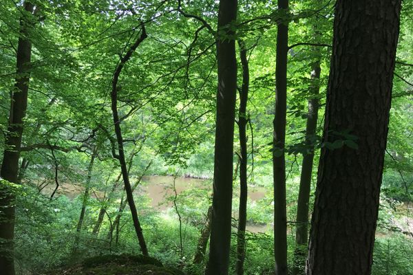Ausblick auf die Ilmenau von Sängershöh