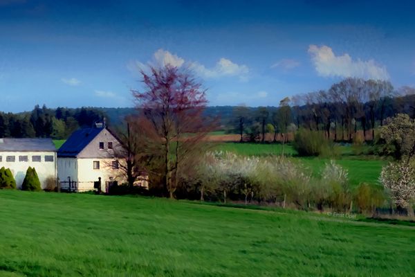Haus und Obstblüte