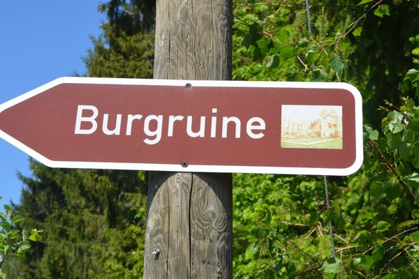Vor Laub- und Nadelbäumen hängt an einem Holzpfosten ein braunes Hinweisschild, darauf steht in weißer Schrift das Wort "Burgruine".