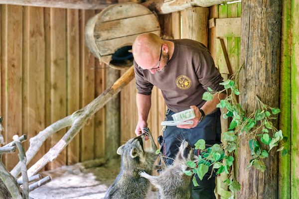 Wildpark Mehlmeisel
