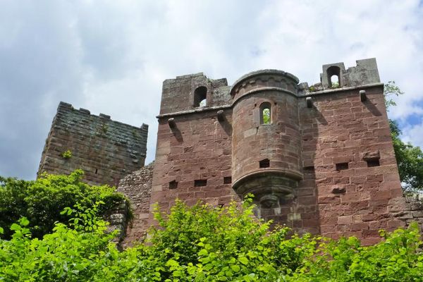 Burgruine Wildenberg