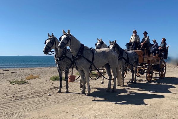 Vierspänniger Jagdwagen in der Toskana