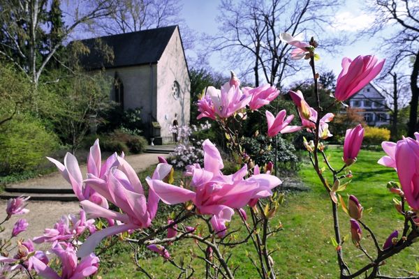 Bild des Datensatzes Adenauerpark Speyer