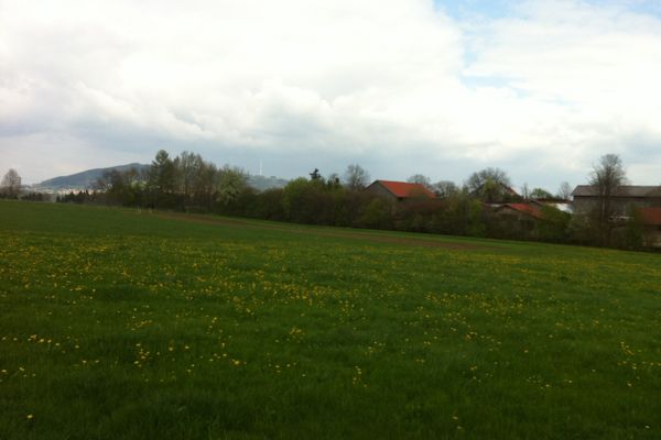 Der Betrachter blickt über eine weite Wiese hin zu Büschen und ein paar Hausdächern dahinter.