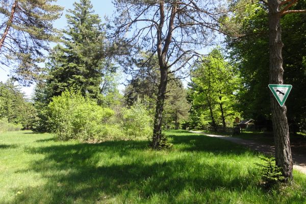 Heidewiese an der Schongauer Alm
