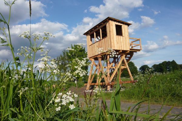 Holzaussichtsturm am Naturerlebnisweg Seewiesen, umgeben von hohen Gräsern und blühenden Wildpflanzen. Der Turm steht in einer offenen Naturlandschaft und bietet einen erhöhten Blick über die Umgebung.