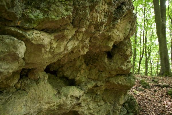 Detailaufnahme des Gesteins im Außenbereich der Höhle.