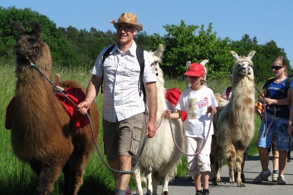 Geführe Lamawanderung