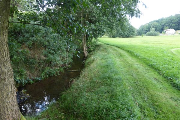 Bachlauf unterhalb der MÃ¼hle
