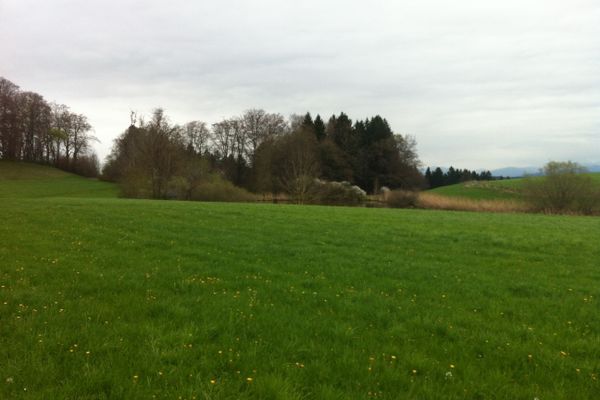 Idyllischer See beim Aussichtspunkt Armeleiten