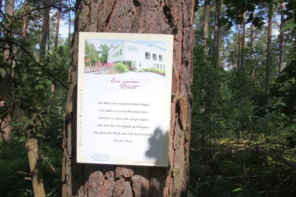 Hinweisschild Rollstuhlwanderweg