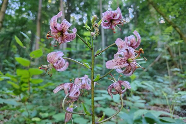 Wandertipp Nr. 25-06