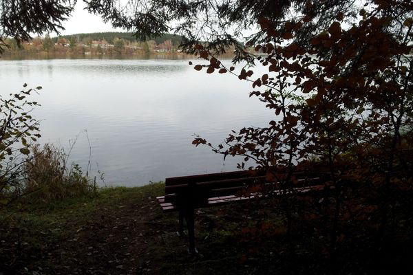 Der Betrachter blickt auf eine Parkbank die am Ufer des Lechstausees steht.