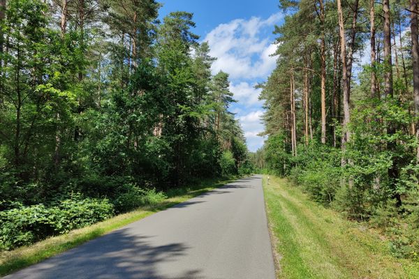 Schmale asphaltierte Straße durch lichten Kiefernwald mit dichter Vegetation am Rand, Blick in die Tiefe der Strecke bei Ortheide unter blauem Himmel mit einzelnen Wolken.