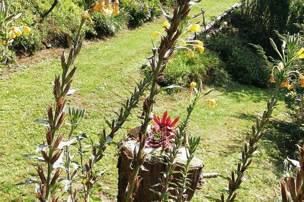 Garten
