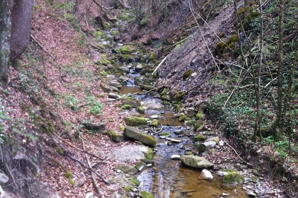Wildromantische Klamm des Reitnerbaches