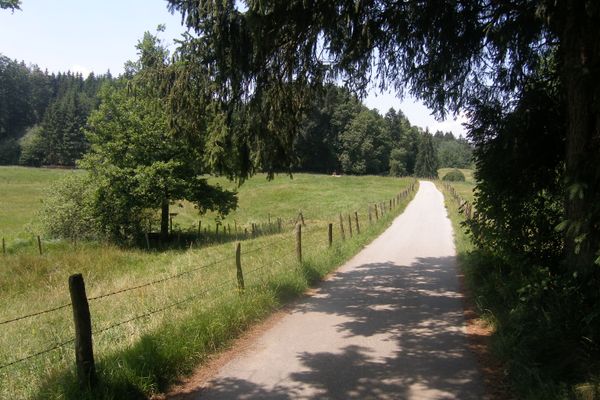 Durch Wiesen führt der Weg zu den Osterseen.