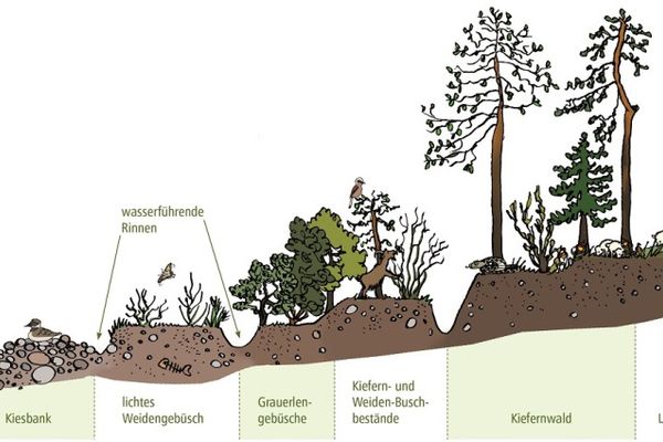 Verschiedener Lebensraumtypen (Biotope)