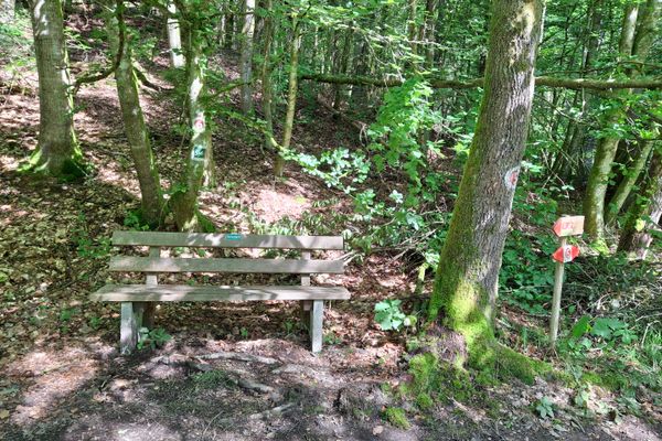 Eine Bank steht im schattigen Laubwald. An einem Baum ist eine Markierung in die Rinde gezeichnet. Davor steht ein Holzpflock mit zwei Hinweisschildern.