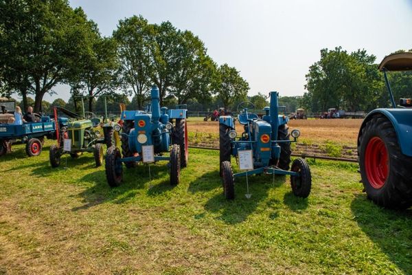 mehrere Traktoren meim Erntefest in Frontansicht auf Wiese mit Informationstafeln