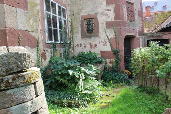 Mainzer Amtskellerei Amorbach