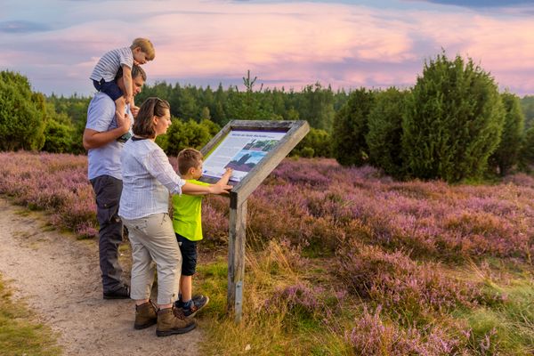 Familie steht vor einem Pult mit Infos über die Ellerndorfer Heide, blühende Heidefläche im Hintergrund