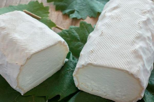 ZicknRoll - gereifter Ziegenkäse im Edelschimmelmantel