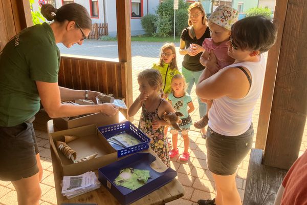 Sommerferienprogramm 2023