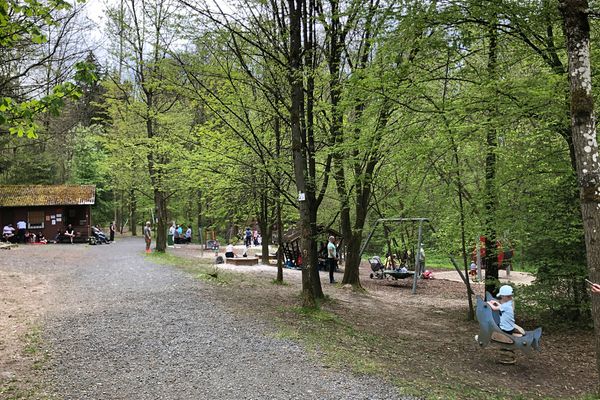 Ein Spielplatz im Wald mit einer großen Holzhütte, Nestschaukel, Wipptieren, Sankästen und vielen anderen Spielgeräten. Einige Erwachsene und Kinder sind auf dem Spielpaltz unterwegs.