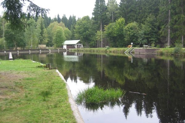 Natur-Moorbad in Warmensteinach Fleckl