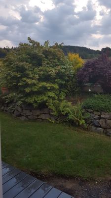 Blick ins GÃ¤rtchen