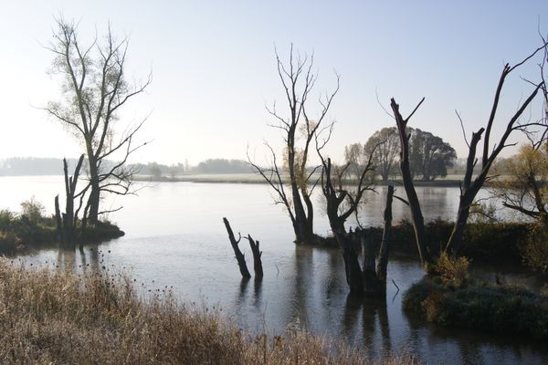 Donau