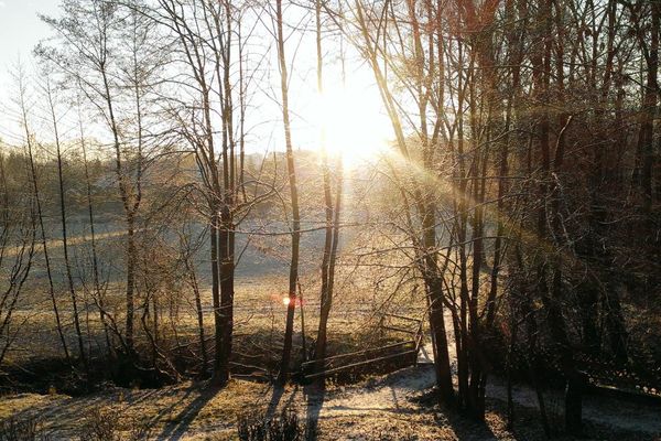 Eine kleine Brücke führt über einen Bach zu einer Wiese. Am Bachrand und im Hintergrund stehen Bäume. Zwischen den Bäumen strahlt die aufgehende Sonne.