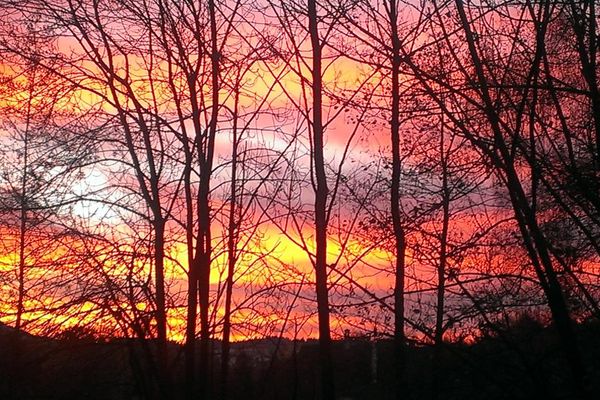 Hinter Laubäumen leuchtet der ganze Himmel in den unterschiedlichen Farben eines herrlichen Morgenrotes.