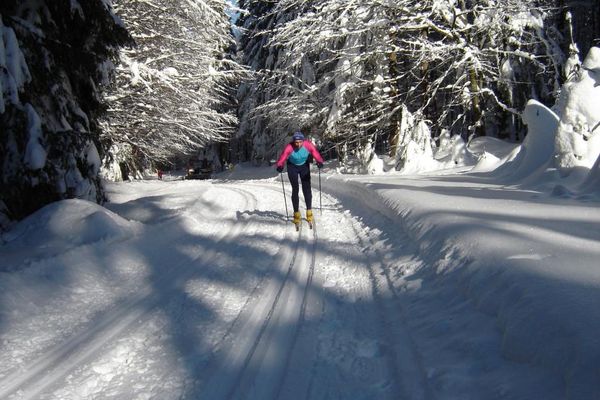 Langlauf Schwarzach-Grandsberg1