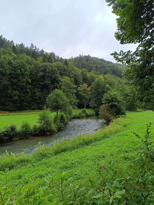 #6 Waischenfelder Panoramatrail