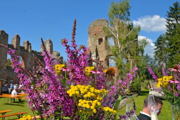 Im Vordergrund violett und gelb blühende Pflanzen. Im Hintergrund, umgeben von hohen Bäumen, die Burgruine Haibach. Auf der Wiese vor den Burgmauern sind Biertische und Verkaufsstände aufgebaut. Einige Besucher flanieren über das Gelände.