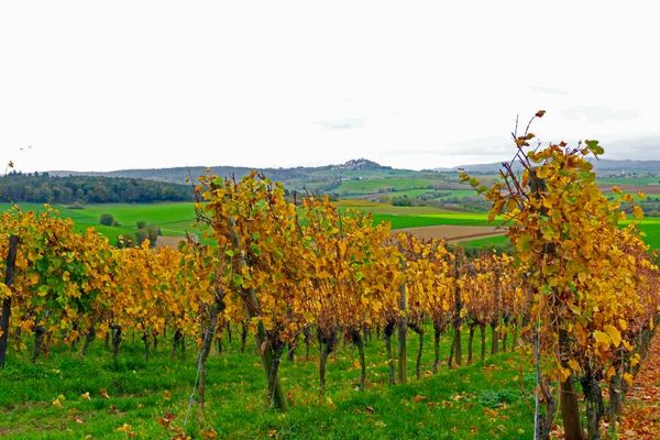 Herbstlandschaft