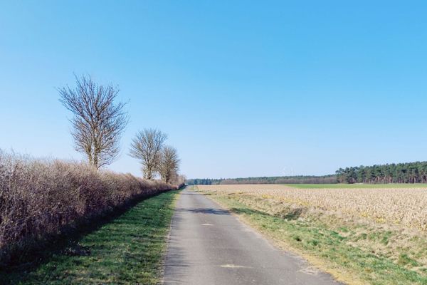 Geradliniger Wirtschaftsweg mit Alleencharakter zwischen Feldern und Kiefernwald – parallel zum Elbe-Seitenkanal in der Nähe von Wulfstorf. Alternativ zum asphaltierten Weg verläuft ein geschotterter Serviceweg direkt am Kanalufer, ideal für Grave-Liebhaber.