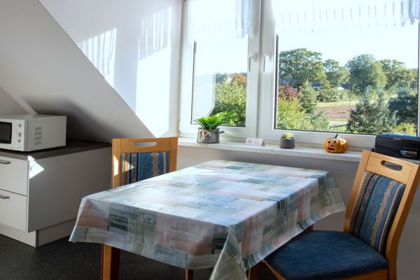Kleiner Tisch mit zwei Stühlen vor einem Fenster, daneben eine Mikrowelle auf einem Schrank.