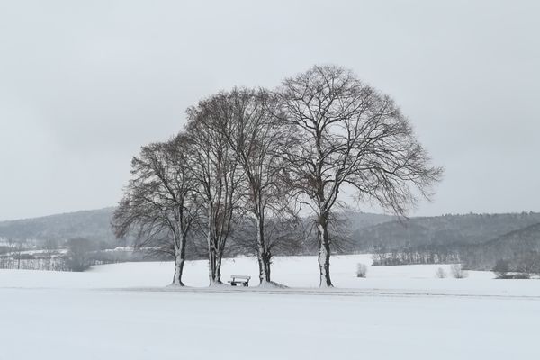 Winterlinden am Rennweg