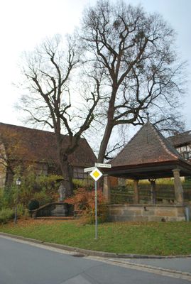 Brunnenlinde Mürsbch