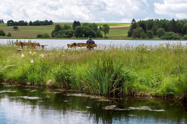 Zwischen zwei Seearealen sitzt ein Mann genüsslich auf einer hölzernen Bank, daneben eine zweite leere Bank. Der Betrachter blickt von hinten auf den Mann, der inmitten der üppigen Ufergräser in Ruhe die Seenlandschaft beobachtet. Hinter dem See ist ein ansteigendes Gebiet aus Feldern, Wiesen und kleinen Baumbeständen zu sehen. Der Himmel ist wohlgenbehangen, aber strahlend blau.