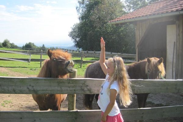 Auf einer Koppel neben einem Stallgebäude stehen zwei Ponys. Vor dem Zaun steht ein Mädchen mit langen, blonden Haaren und erhobener Hand, um eines der Ponys, das gerade laut wiehert, zu streicheln.