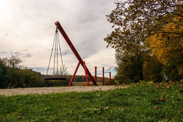 Vogelnestschaukel beim Spielplatz an der Wallerwarte