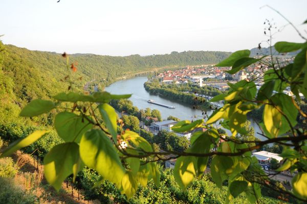 Ausblick auf den Neckar